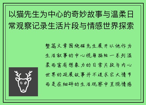 以猫先生为中心的奇妙故事与温柔日常观察记录生活片段与情感世界探索